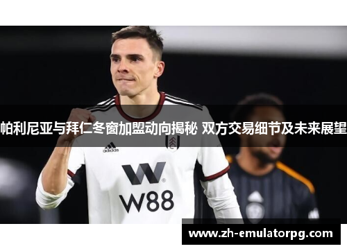 帕利尼亚与拜仁冬窗加盟动向揭秘 双方交易细节及未来展望