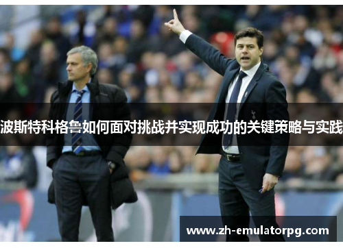 波斯特科格鲁如何面对挑战并实现成功的关键策略与实践