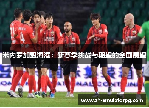米内罗加盟海港：新赛季挑战与期望的全面展望